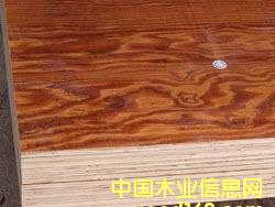 ��ȩ�z�潨��ģ���Ԕ����B