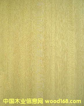 ����ľƤ��Ԕ��(x��)��B