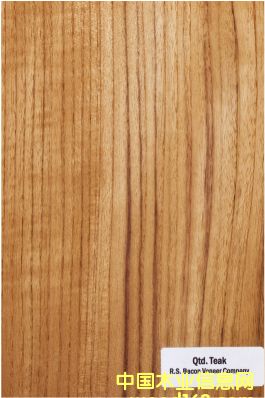 ����ľƤ��Ԕ��(x��)��B