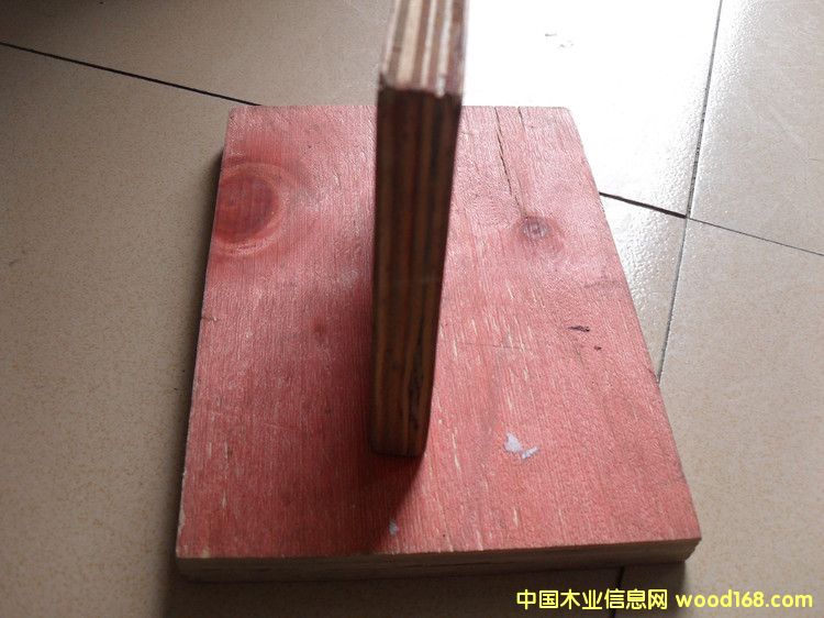 һ����ľ�z�ϰ��Ԕ����B