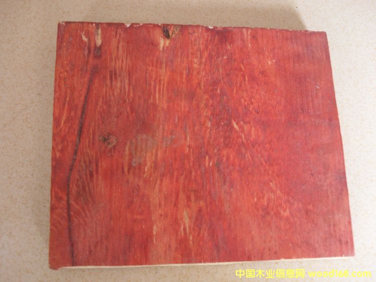 ��(y��u)�|����ģ���Ԕ����B