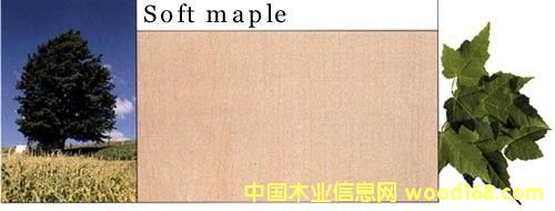 ܛ����Ԕ��(x��)��B