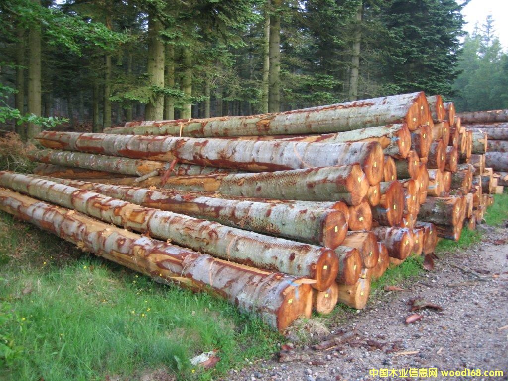 �W����ɼ��Ԕ��(x��)��B