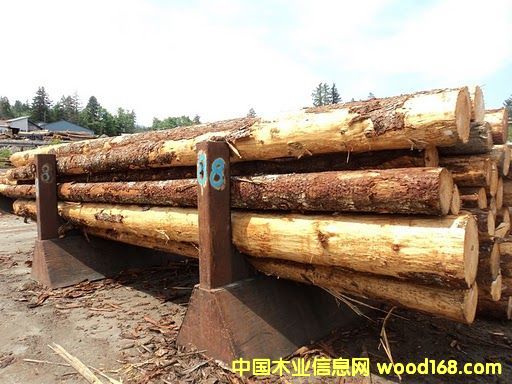 �Fɼ��Ԕ��(x��)��B