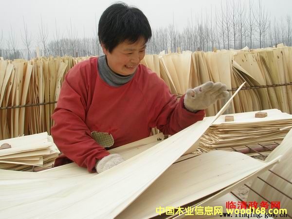 ��ľƤ�ӵ�Ԕ����B