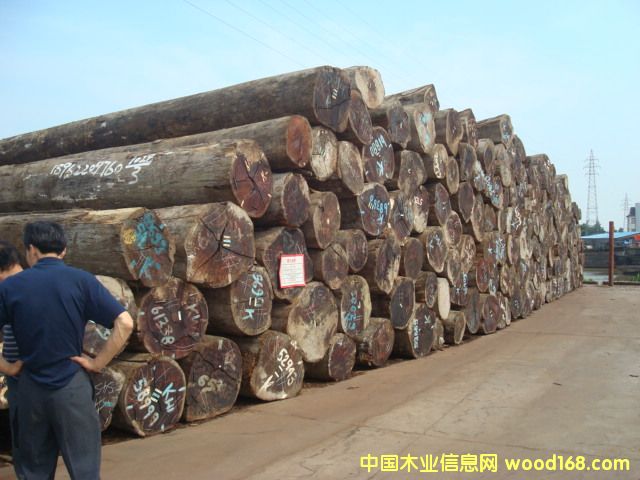 �c(di��n)���鿴���}��ԭľ�Ŵ�DƬ