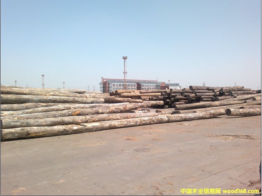 ��Ƥ��ԭľ��Ԕ����B