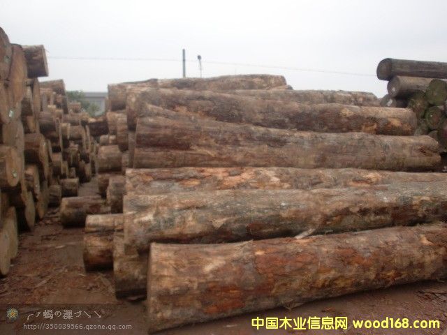 ݗ����ԭľ��Ԕ����B