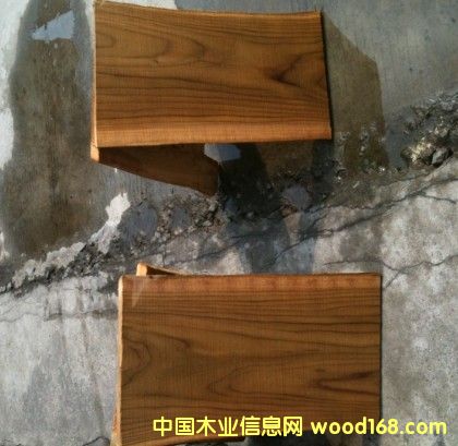 ��������ľ��Ԕ��(x��)��B