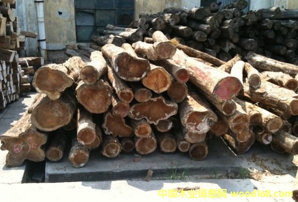 ��������ľ��Ԕ��(x��)��B