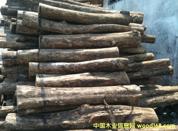 ��������ľ��Ԕ��(x��)��B