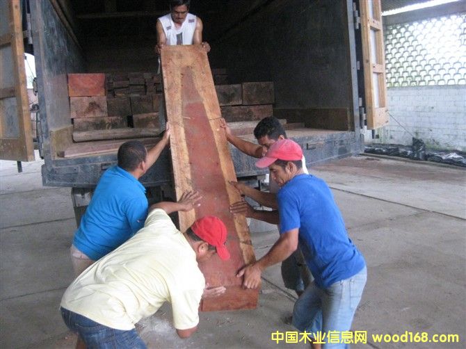 �����ް���֦