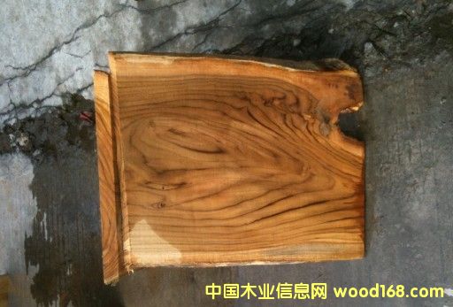 ��������ľ��Ԕ��(x��)��B