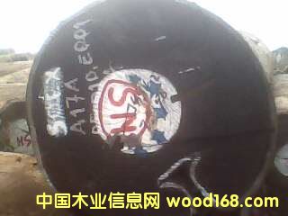 �c(di��n)���鿴�F��ľ�Ŵ�DƬ