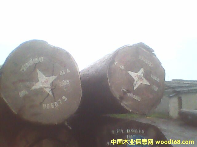 �c(di��n)���鿴��ľ���Ŵ�DƬ