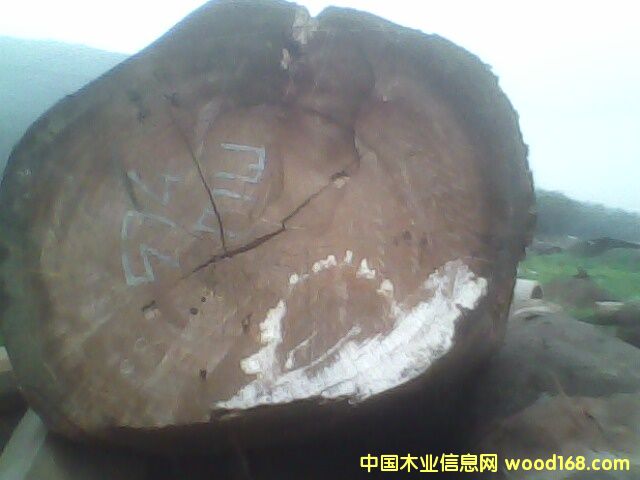 �c(di��n)���鿴���ǹ��Ŵ�DƬ