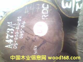 �c(di��n)���鿴���u��Ŵ�DƬ