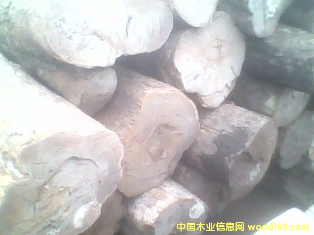 �c(di��n)���鿴Ƥ�ҷŴ�DƬ