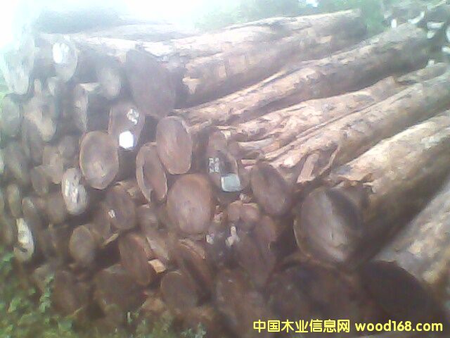 �c(di��n)���鿴�u��Ŵ�DƬ