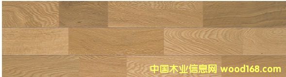 ��(sh��)ľ�ذ壨ɽë��ľ����Ԕ��(x��)��B