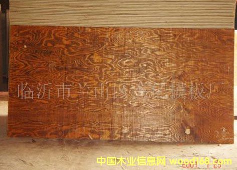 ��������Ƥ6��Ԕ����B