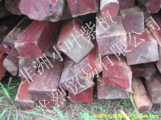 ����С�~��̴��Ԕ��(x��)��B