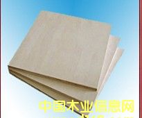 ģ���Ԕ��(x��)��B