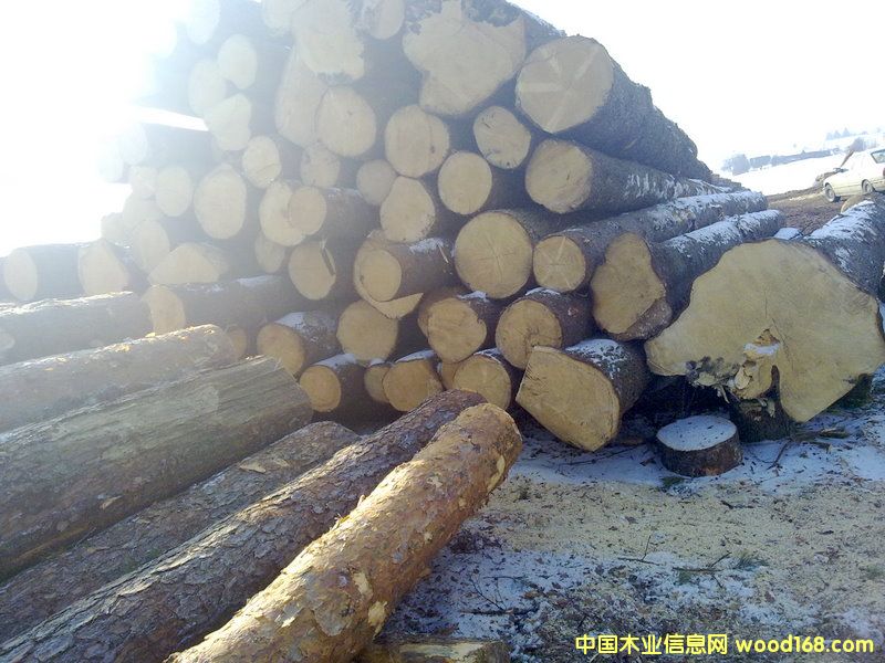 �����m��ɼԭľ��Ԕ����B