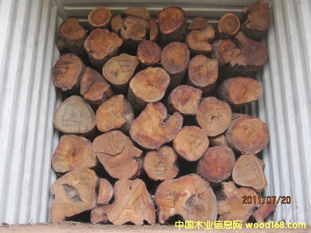 �����棨���ȁ�����Ԕ����B