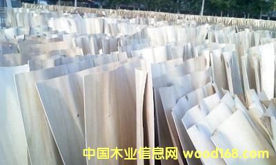 �c���鿴��ľ��Ƥ�Ŵ�DƬ