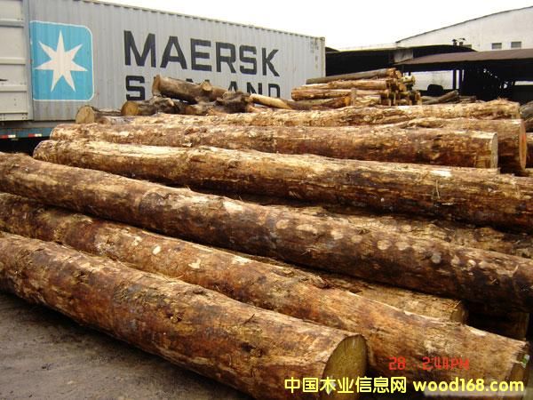 ��֦����ľ���W�����M(j��n)�ڈ�(b��o)�P(gu��n)��(b��o)�zȫ�״���