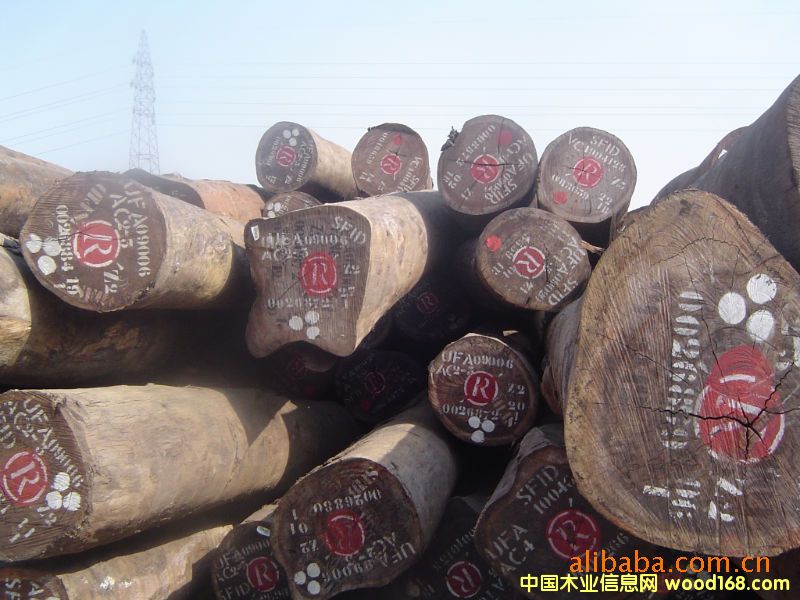 ɽë�Ρ�̴ľ��ɳ�����M(j��n)�ڈ�(b��o)�P(gu��n)��(b��o)�zȫ�״���