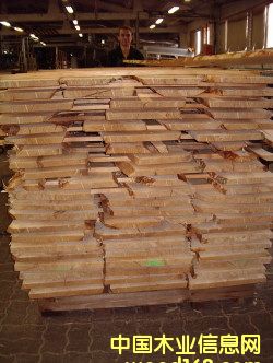 ���_˹��ľ��Ԕ��(x��)��B