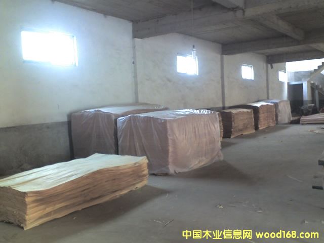 �һ�о��Ԕ����B