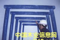 �c(di��n)���鿴��ľ�Ŵ�DƬ