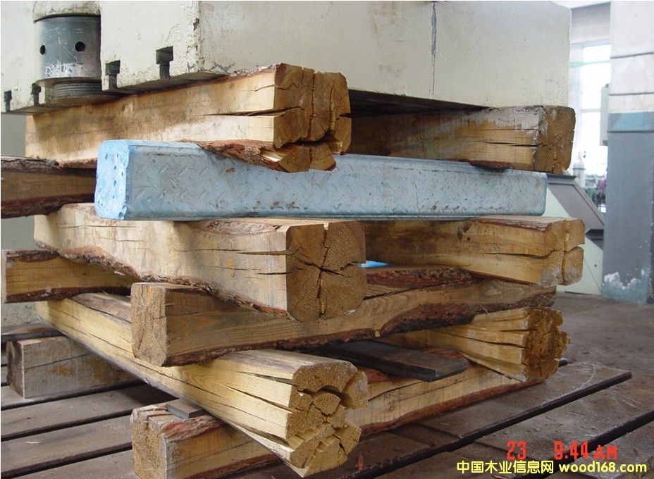 �c(di��n)���鿴��ľ�Ŵ�DƬ