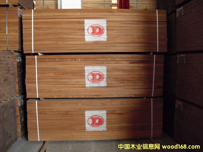 �c���鿴ɳ����2�Ŵ�DƬ