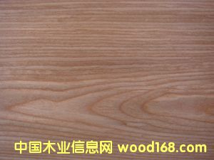 �Ƽ�ľƤ  ����ľ��Ԕ��(x��)��B