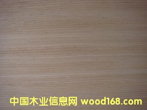 ���� 416��Ԕ��(x��)��B