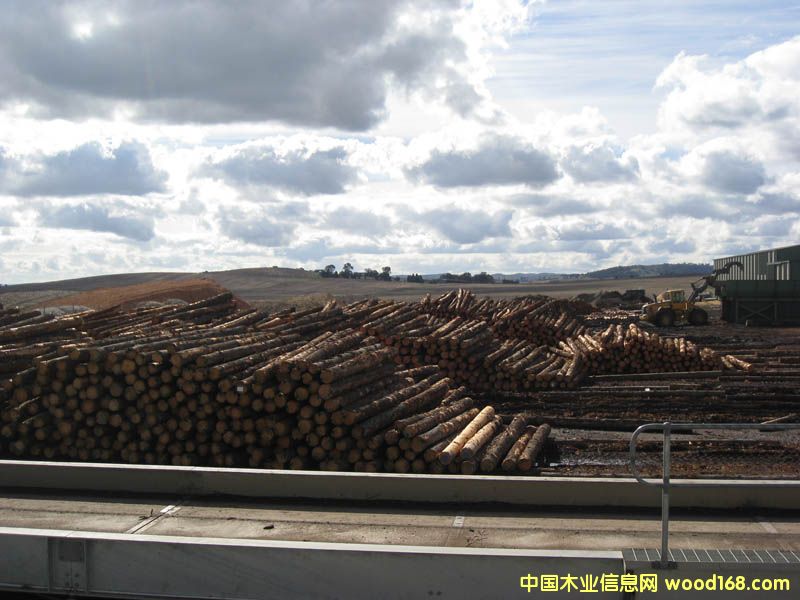 �����mݗ����ԭľ��Ԕ��(x��)��B