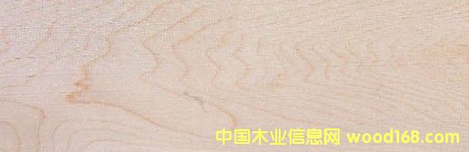 �c(di��n)���鿴Ӳ�� Hard Maple�Ŵ�DƬ