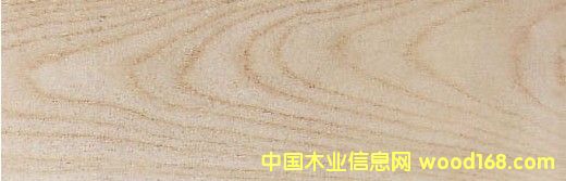 �c(di��n)���鿴��ľ����ȸľ Hackberry�Ŵ�DƬ