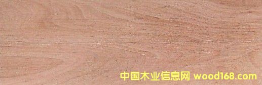 �c(di��n)���鿴����ľɽ���ҷŴ�DƬ