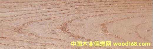 �c(di��n)���鿴�t�� Red Oak�Ŵ�DƬ