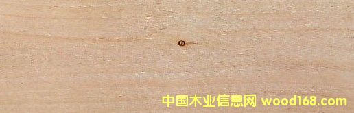 �c(di��n)���鿴���P(y��ng) Red Alder�Ŵ�DƬ