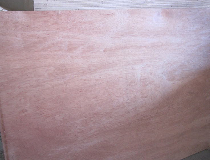 ��ľ�������ǹ�����b���z�ϰ�