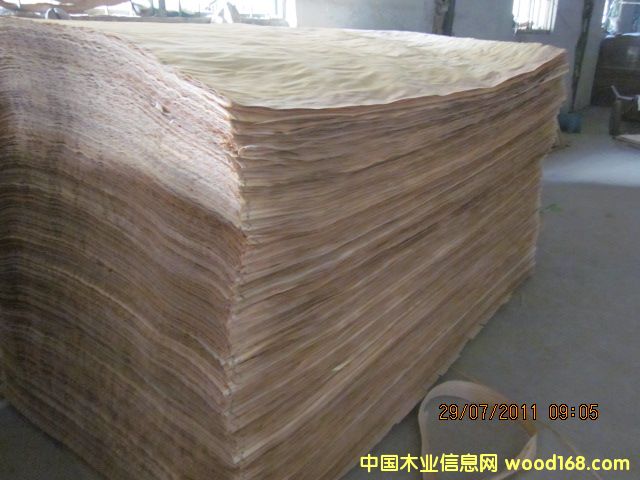 ������Ƥ