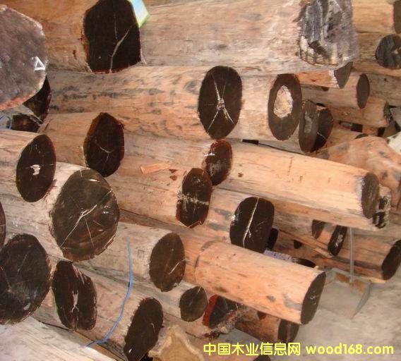 �c���鿴��÷ľ�Ŵ�DƬ