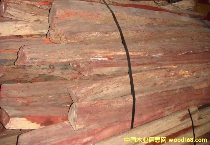 �c���鿴С�~̴ľ�µ��Ŵ�DƬ