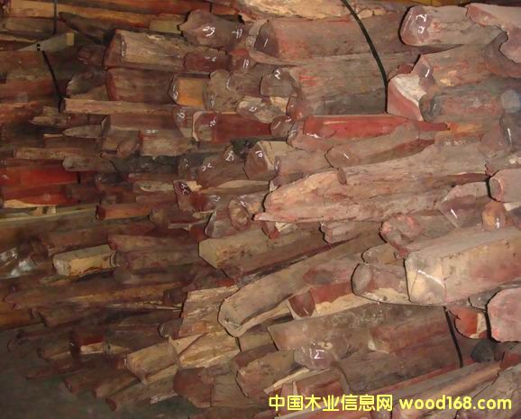 �c���鿴С�~̴ľ2011�Ŵ�DƬ